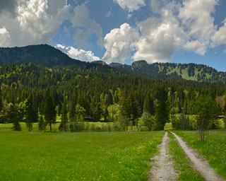 Weg durch Wiesen zu Moorwiesen im Sutten-Gebiet